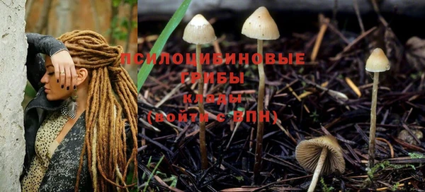 MDMA Premium VHQ Ладушкин