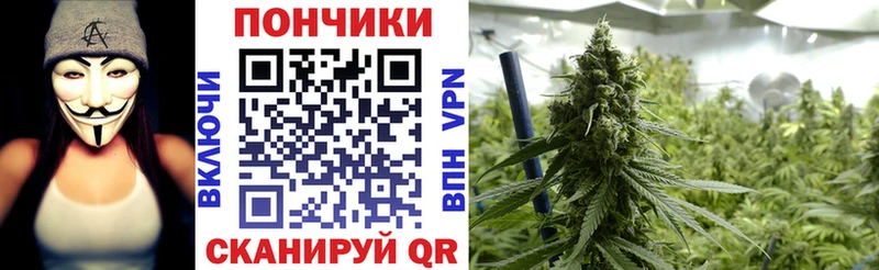 Купить закладки  Егорьевск  МАРИХУАНА гибрид 